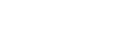 V Tex Vietnam